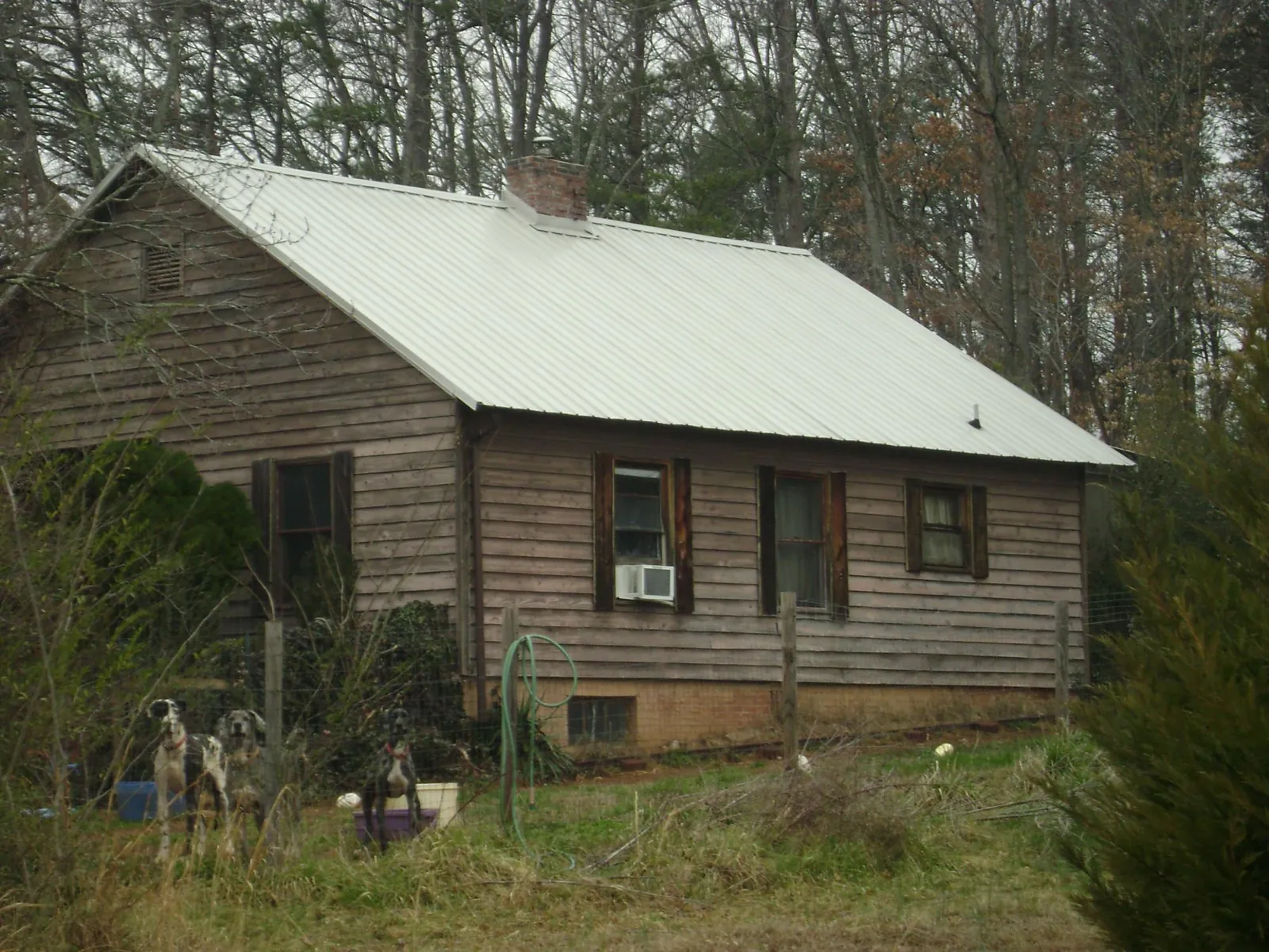 White metal roof on an old wood sided farmhouse, from a Asphalt Shingle Roof Repair job in Slickville